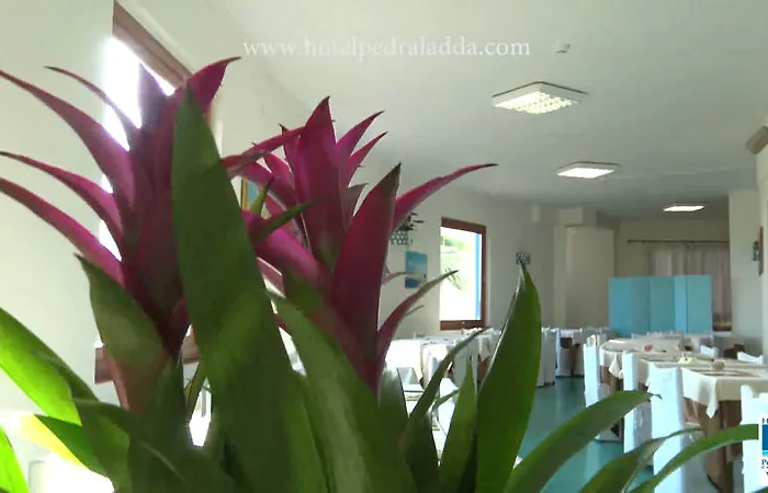 Hotel Lh Pedraladda 4*