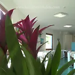Hotel Lh Pedraladda 4*